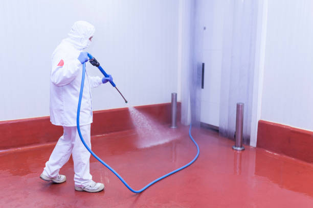 Best Dumpster Area Cleaning  in Ellaville, GA